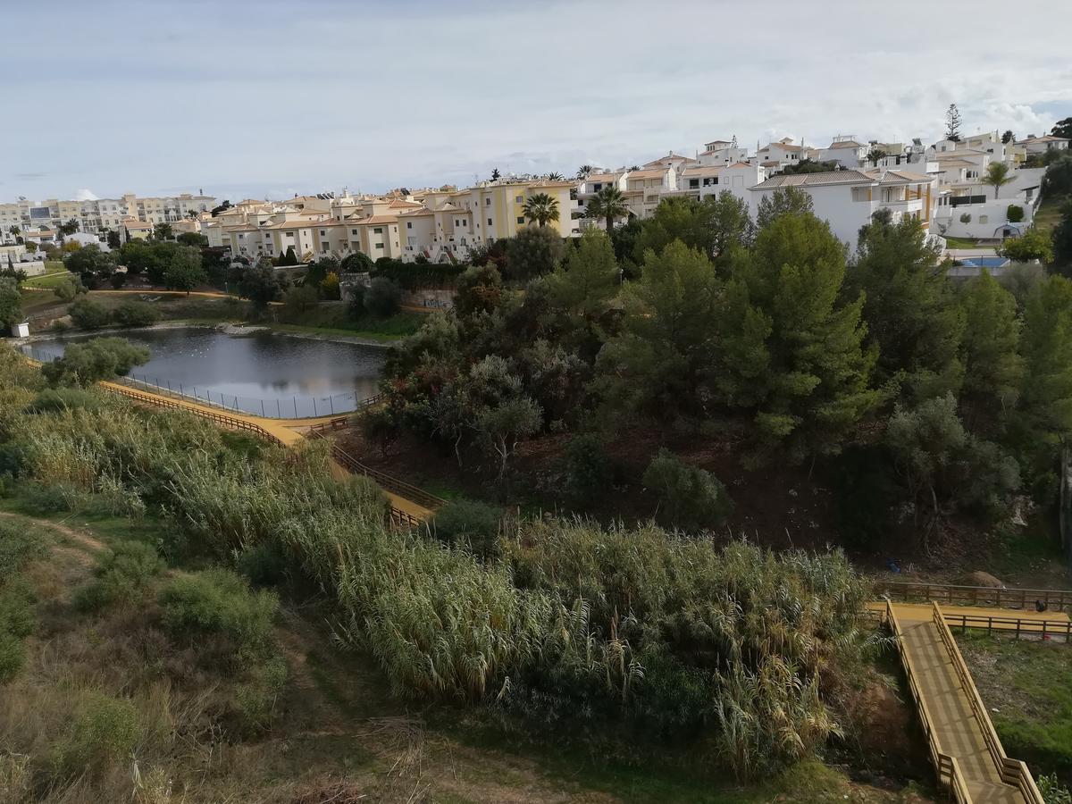 Albufeira Inn - Elimar 1 T1 Bagian luar foto